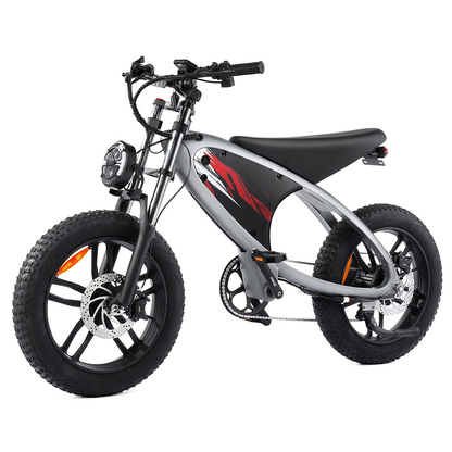 HX Q6 Moped-Style Fat Tire Electric Bike