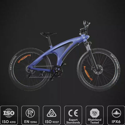 HX Q5 Shark Electric Bike with Built-in Battery